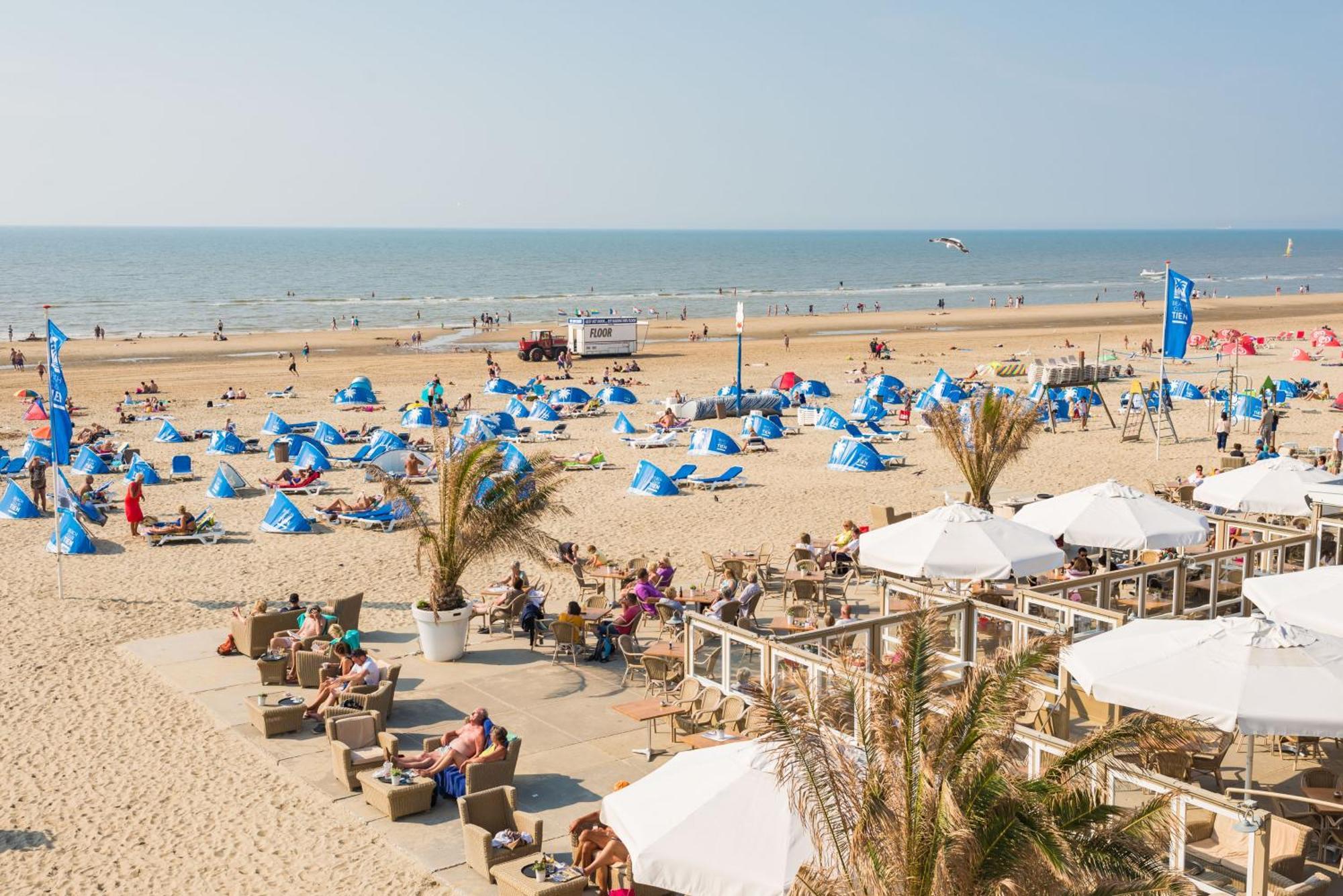 Oasis Escape Appartement Zandvoort